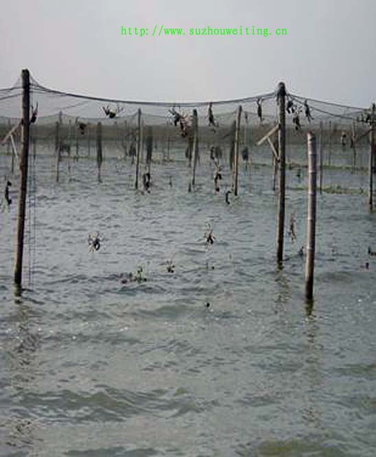 點擊查看源網(wǎng)頁