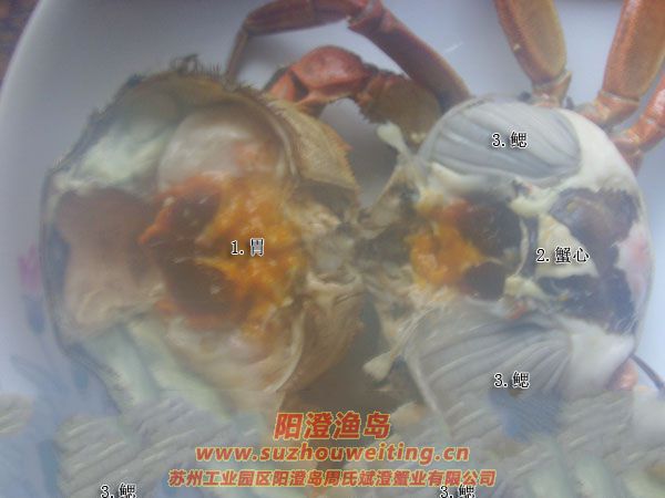 吃蟹時需要清除哪些部位