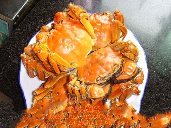 吃蟹也要有原則