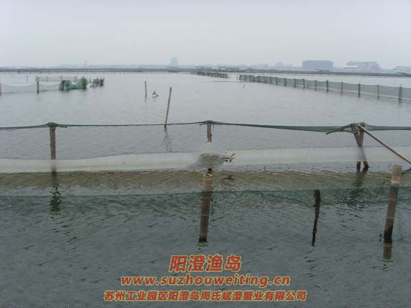 西風(fēng)響蟹腳癢