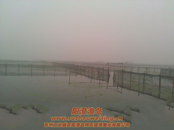 霧中養(yǎng)殖場圖片一