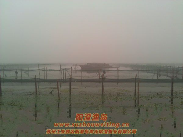 霧中養(yǎng)殖場圖片二