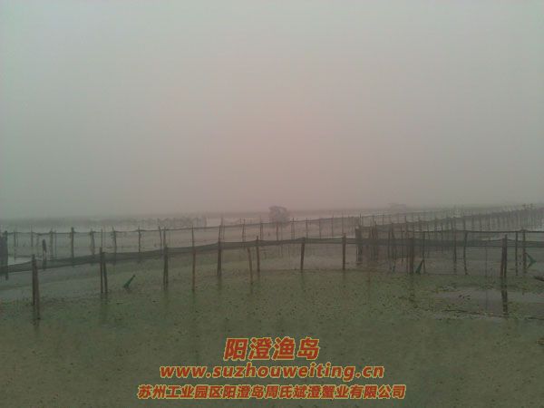 霧中養(yǎng)殖場圖片三