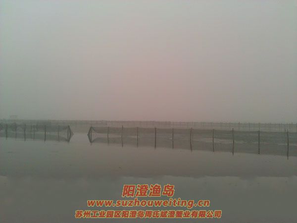 霧中養(yǎng)殖場圖片四