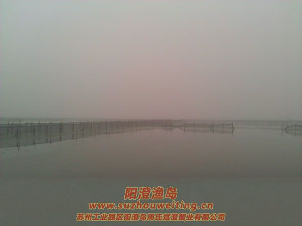 霧中養(yǎng)殖場圖片五