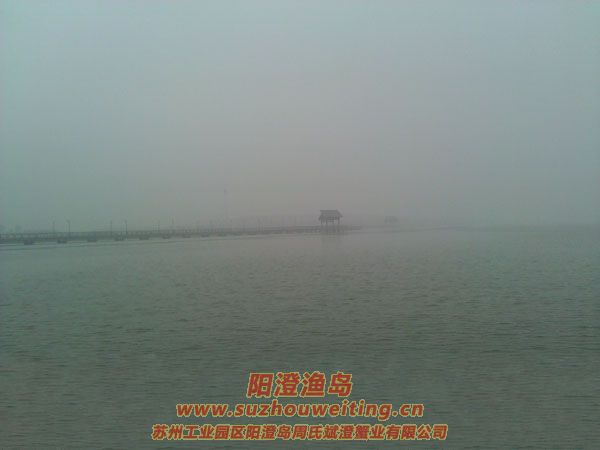 霧中養(yǎng)殖場圖片六