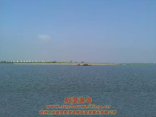 蟹農(nóng)卷草忙圖一