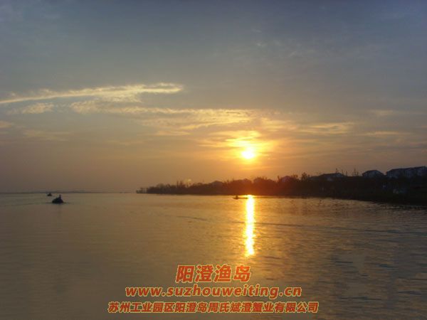 陽(yáng)澄湖半島養(yǎng)蟹人的一天圖片一