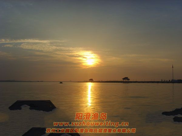 陽(yáng)澄湖半島養(yǎng)蟹人的一天圖片二