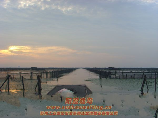 陽(yáng)澄湖半島養(yǎng)蟹人的一天圖片五