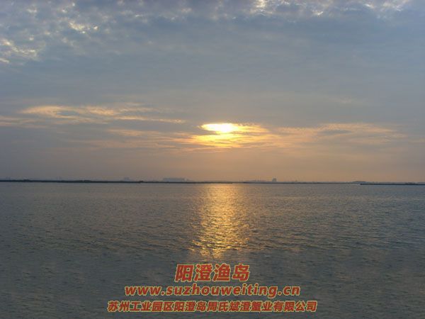 陽(yáng)澄湖半島養(yǎng)蟹人的一天圖片四