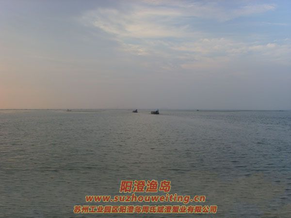 陽(yáng)澄湖半島養(yǎng)蟹人的一天圖片三