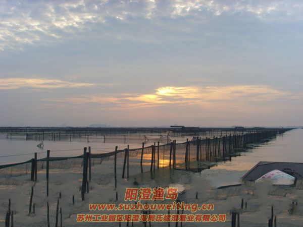 陽(yáng)澄湖半島養(yǎng)蟹人的一天圖片六