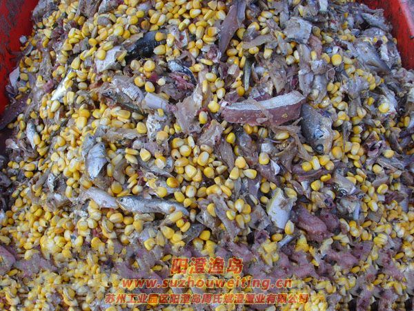 陽(yáng)澄湖半島養(yǎng)蟹人的一天圖片十二