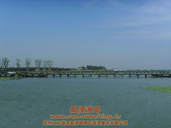 陽(yáng)澄湖半島養(yǎng)蟹人的一天圖片十七