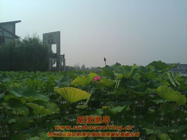 蓮池湖公園圖片二