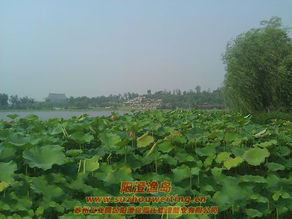 蓮池湖公園圖片三