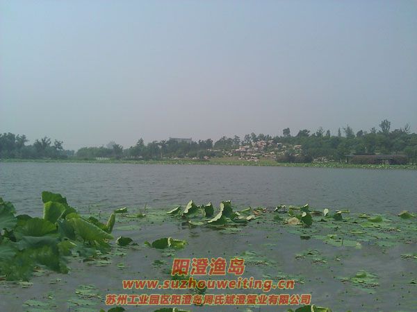 蓮池湖公園圖片七
