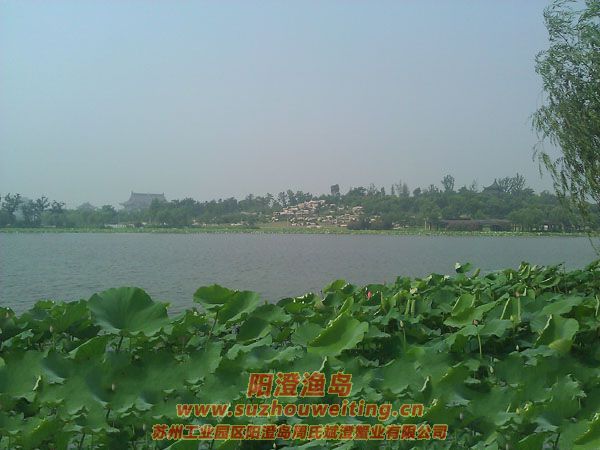 蓮池湖公園圖片六