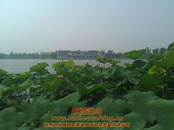 蓮池湖公園圖片五