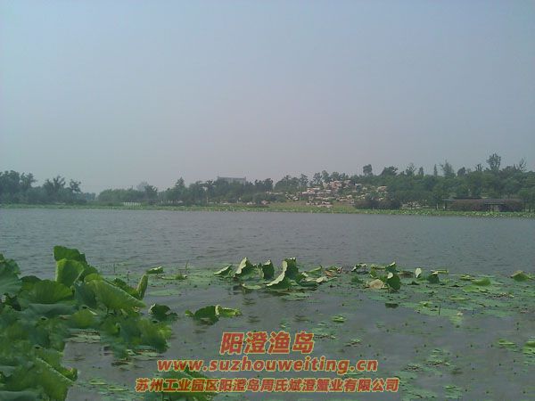 蓮池湖公園圖片七