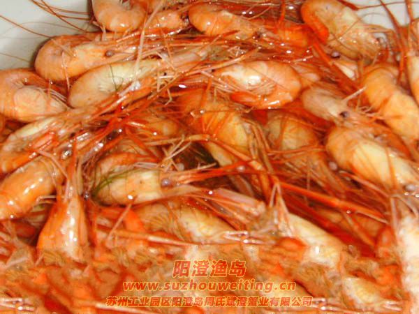 陽澄湖蝦