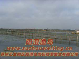 B(yng)ֳ(chng)ïܵˮ݈DƬ