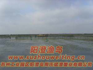 B(yng)ֳ(chng)ïܵˮ݈DƬ