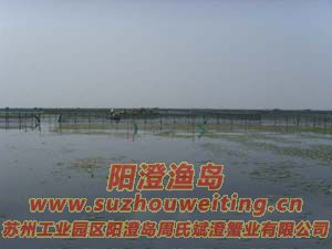 B(yng)ֳ(chng)ïܵˮ݈DƬ