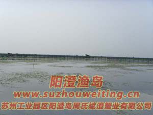 B(yng)ֳ(chng)ïܵˮ݈DƬ