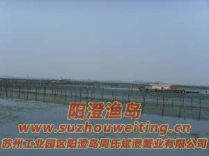 B(yng)ֳ(chng)ïܵˮ݈DƬ