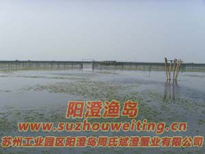 B(yng)ֳ(chng)ïܵˮ݈DƬһ