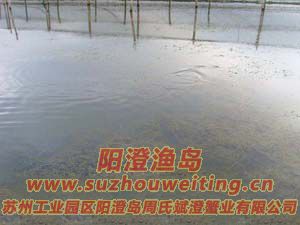 B(yng)ֳ(chng)ïܵˮ݈DƬ