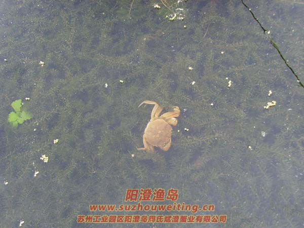 B(yng)ֳïܵˮ݈DƬʮ