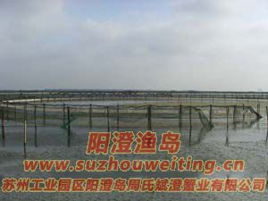 B(yng)ֳ(chng)ïܵˮ݈DƬ