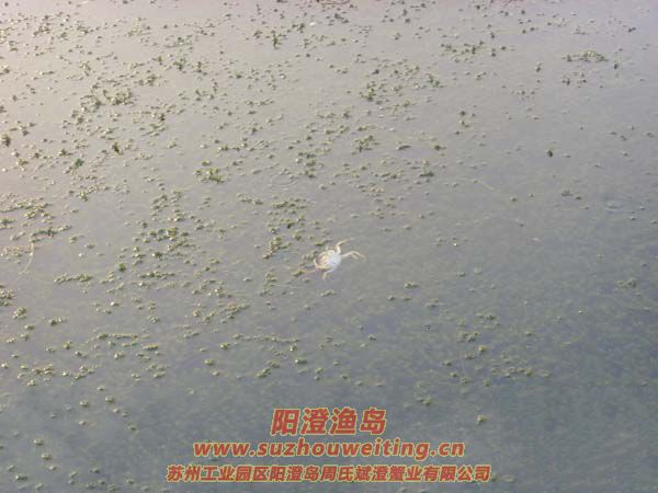 B(yng)ֳïܵˮ݈DƬʮ