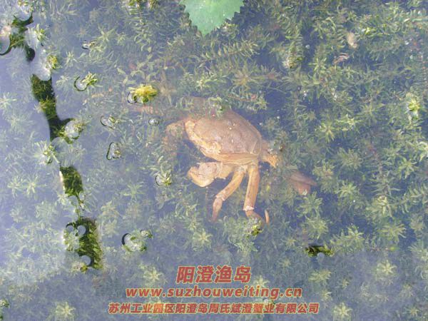 B(yng)ֳïܵˮ݈DƬʮ