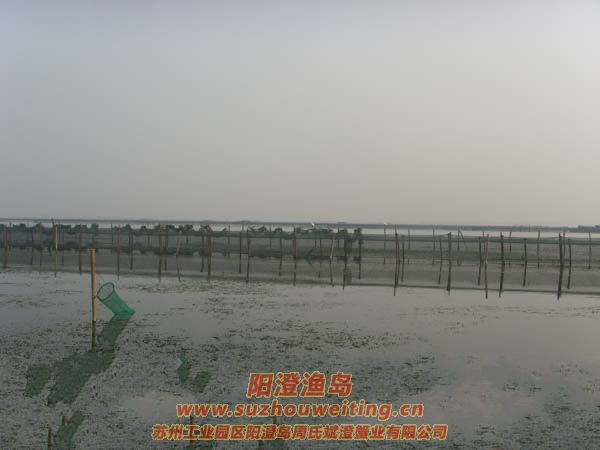 B(yng)ֳïܵˮ݈DƬʮ