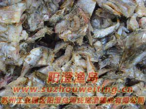 陽(yáng)澄湖大閘蟹飼料