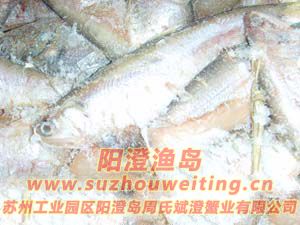 陽(yáng)澄湖大閘蟹飼料