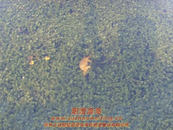 B(yng)ֳïܵˮ݈DƬʮ