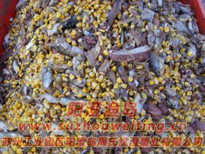 陽(yáng)澄湖大閘蟹飼料