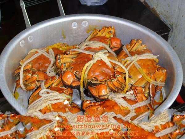 陽澄湖大閘蟹