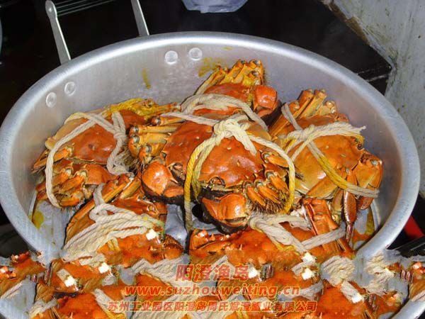 清蒸陽澄湖大閘蟹