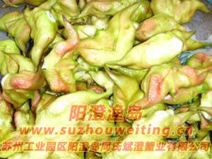 陽(yáng)澄湖的紅菱圖片六