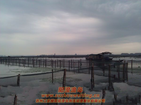 風(fēng)雨陽澄湖圖片二