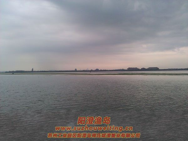 風(fēng)雨陽澄湖圖片四