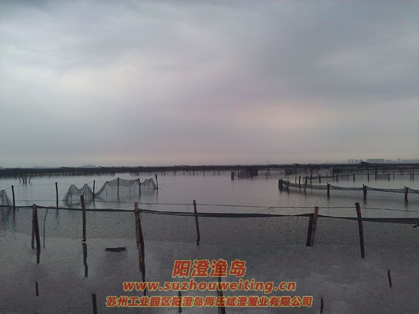 風(fēng)雨陽澄湖圖片三