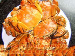 陽(yáng)澄湖大閘蟹蒸法