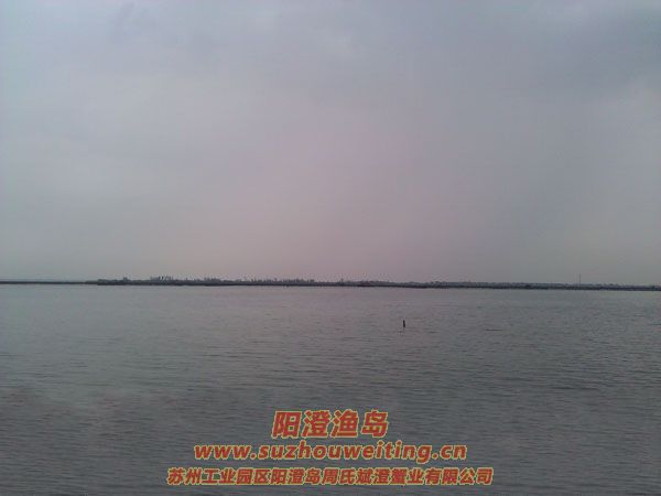 風(fēng)雨陽澄湖圖片六